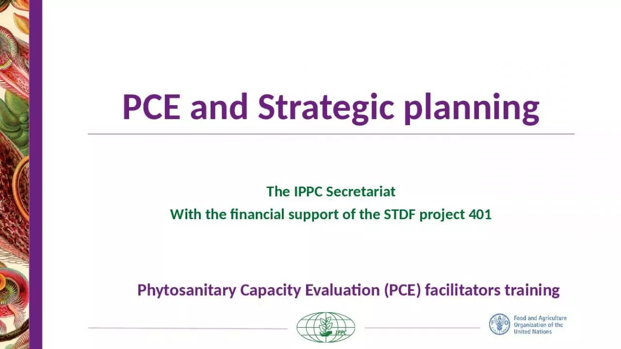 PPT-PCE and Strategic planning