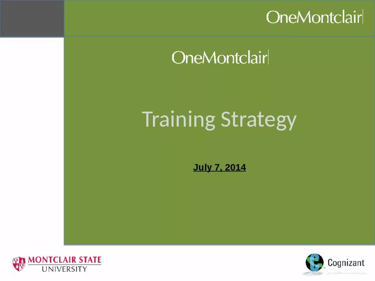 PPT-Training Strategy