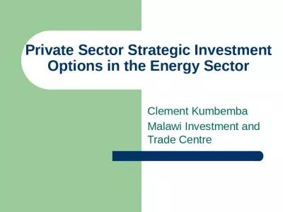 Private Sector Strategic Investment Options in the Energy Sector