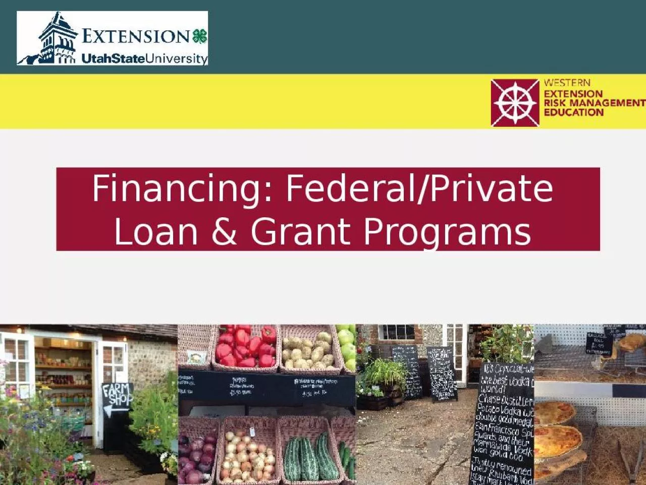 PPT-Financing: Federal/Private Loan & Grant Programs