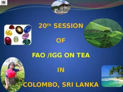 20th SESSION  OF  FAO /IGG ON TEA  IN  COLOMBO, SRI LANKA