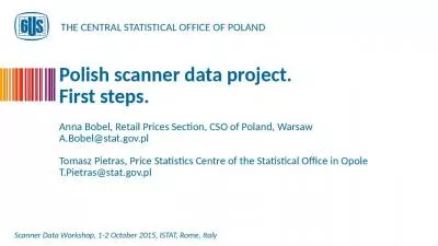 Polish scanner data project. First steps.