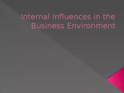 Internal Influences in the Business Environment