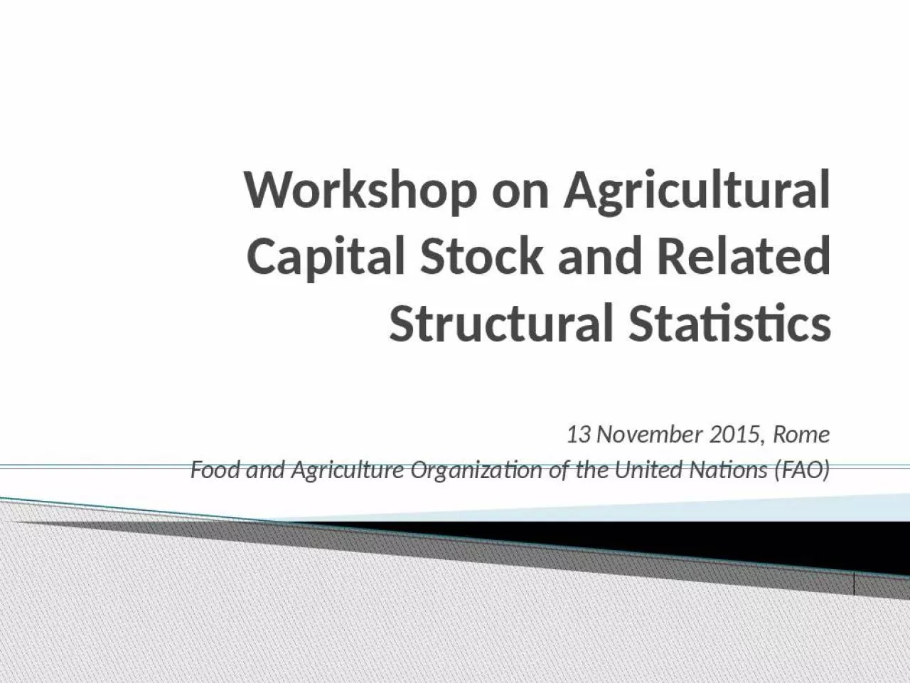 PPT-Workshop on Agricultural Capital Stock and Related Structural Statistics