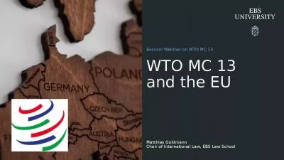 WTO MC 13  and the EU