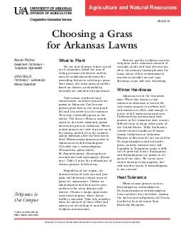 Agriculture and Natural Resources FSA Choosing a Grass for Arkansas Lawns Aaron Patton