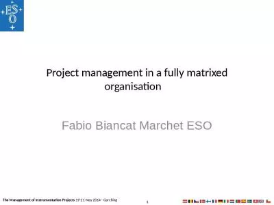 Project management in a fully matrixed organisation