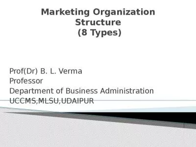 Marketing Organization Structure  (8 Types)