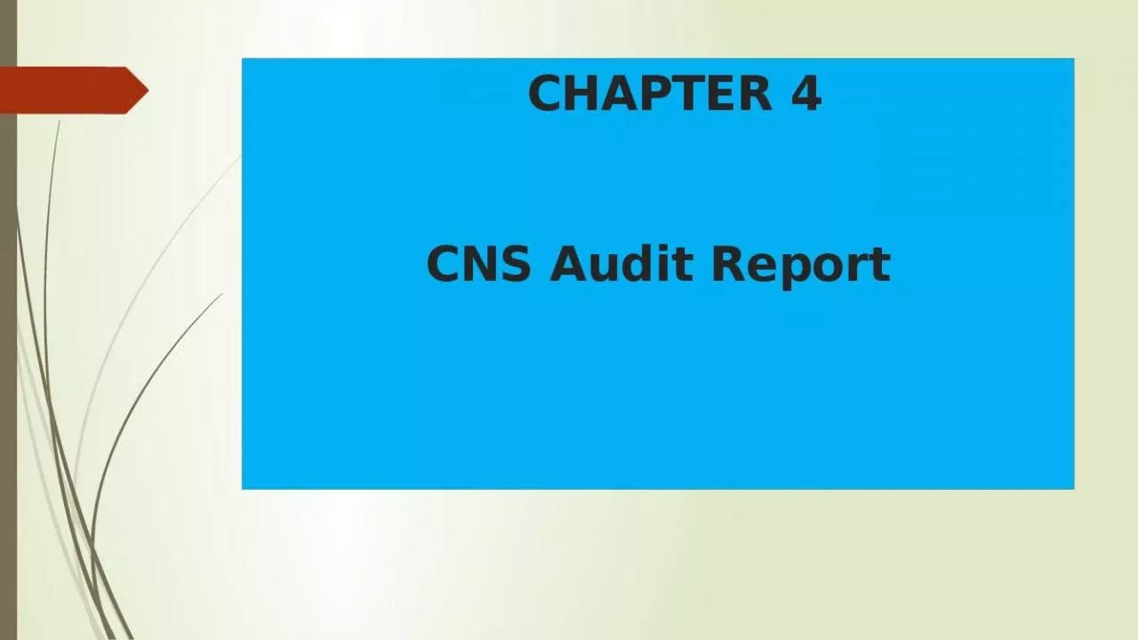 PPT-CHAPTER 4 CNS Audit Report