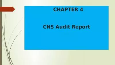 CHAPTER 4 CNS Audit Report