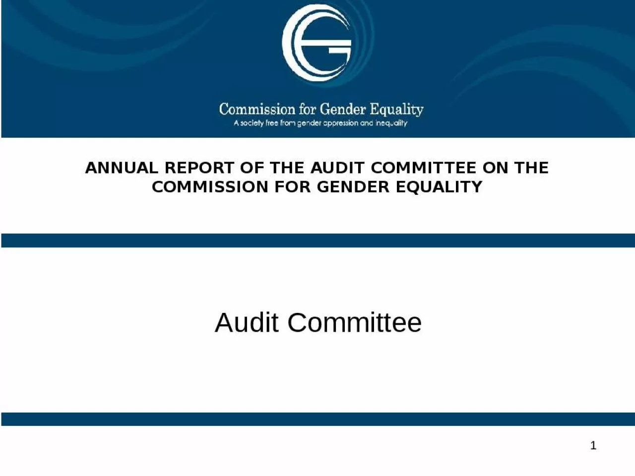 PPT-ANNUAL REPORT OF THE AUDIT COMMITTEE ON THE COMMISSION FOR GENDER EQUALITY