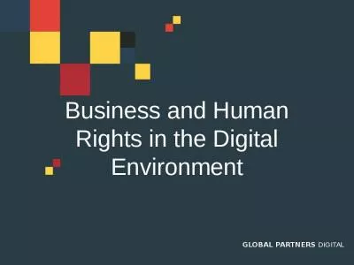 Business and Human Rights in the Digital Environment