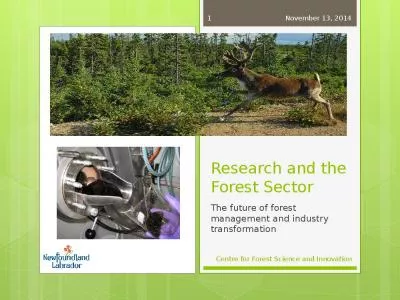 Research and the Forest Sector