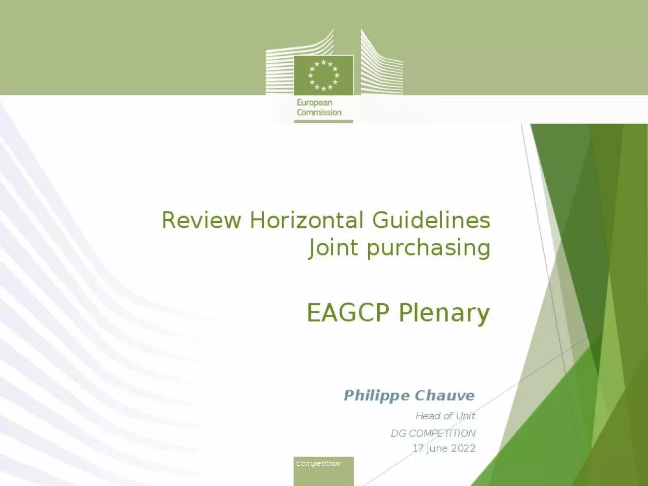 PPT-Review Horizontal Guidelines Joint purchasing EAGCP Plenary