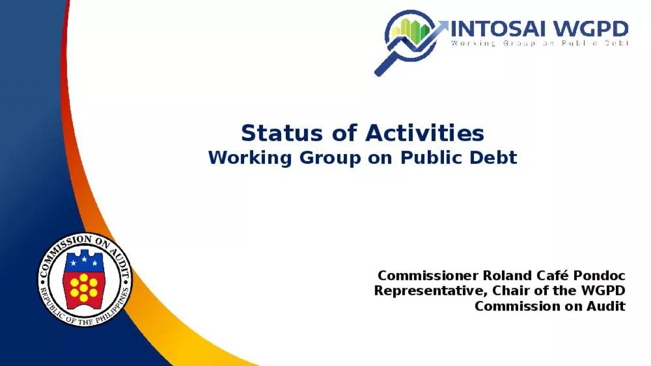 PPT-Status of Activities Working Group on Public Debt