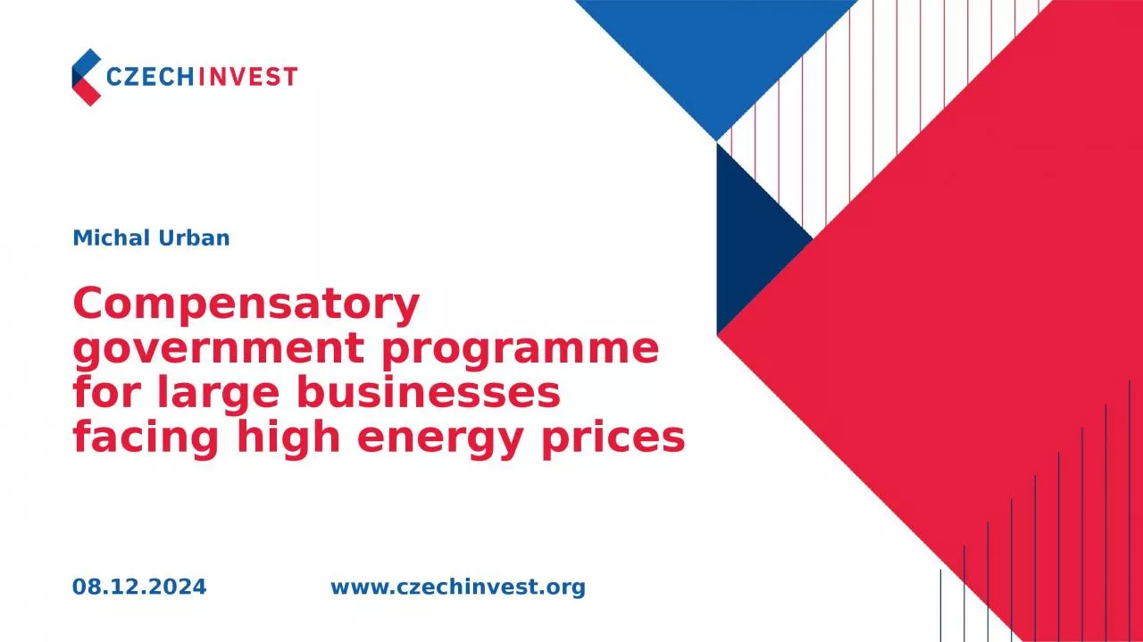 PPT-Compensatory government programme for large businesses facing high energy prices