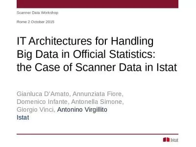 IT Architectures for Handling  Big Data in Official Statistics:  the Case of Scanner Data