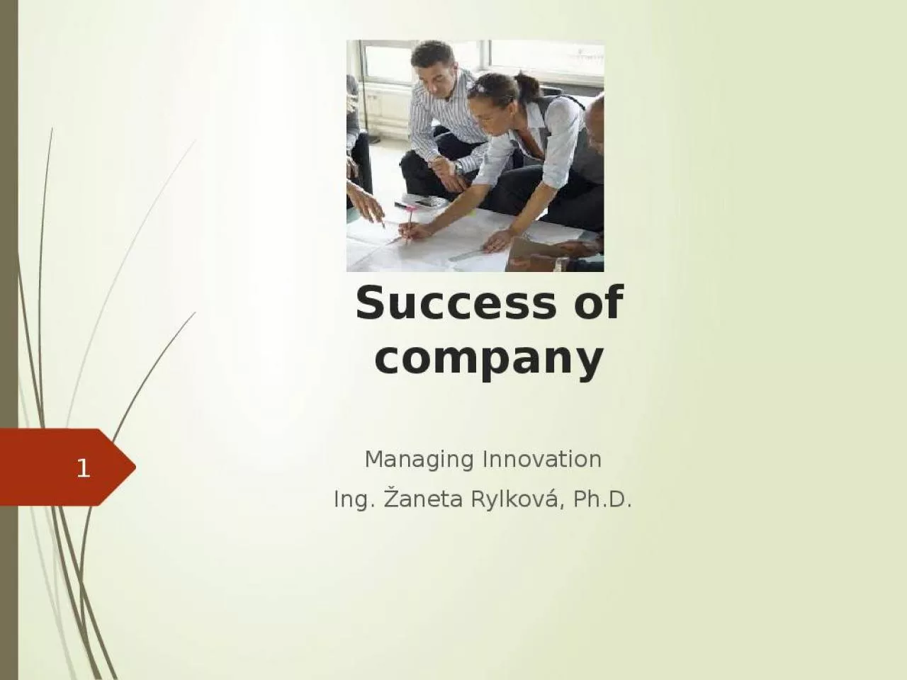 PPT-Success of company