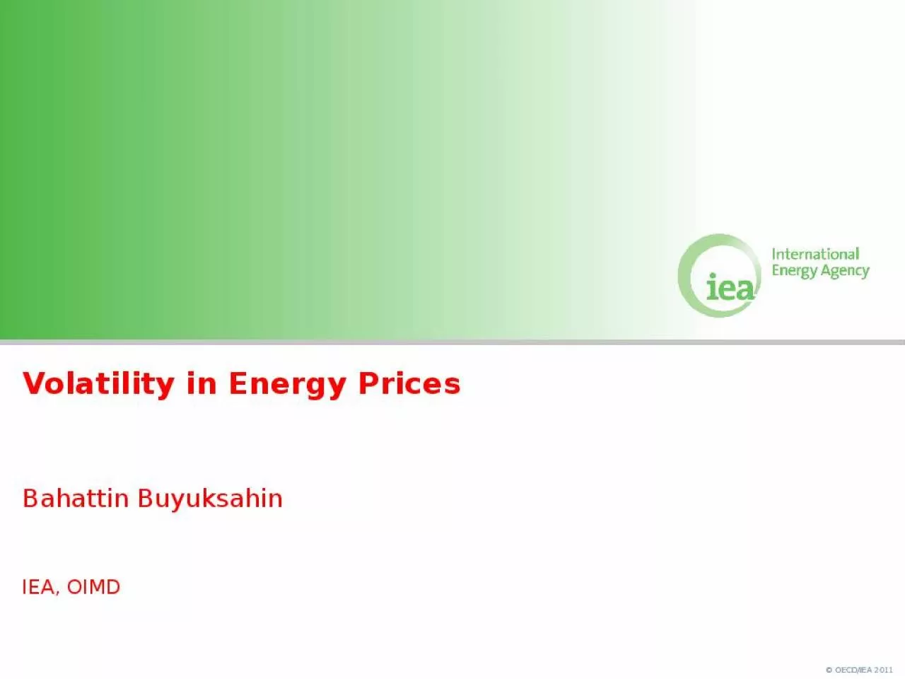 PPT-Volatility in Energy Prices