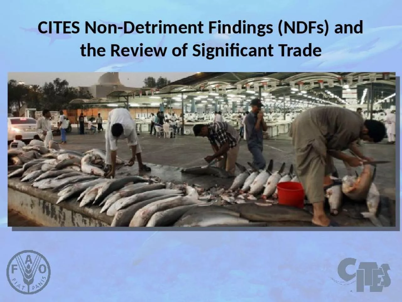 PPT-CITES Non-Detriment Findings (NDFs) and the Review of Significant Trade