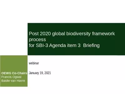 Post 2020 global biodiversity framework process  for SBI-3 Agenda item 3  Briefing