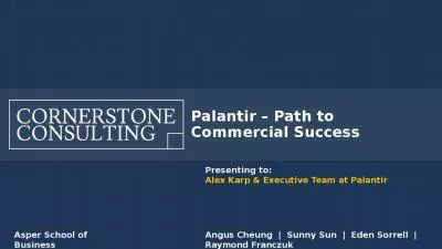 Palantir   Path to Commercial Success