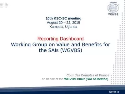 Reporting Dashboard Working Group on Value and Benefits for the SAIs (WGVBS)