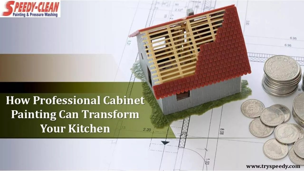 PDF-How Professional Cabinet Painting Can Transform Your Kitchen