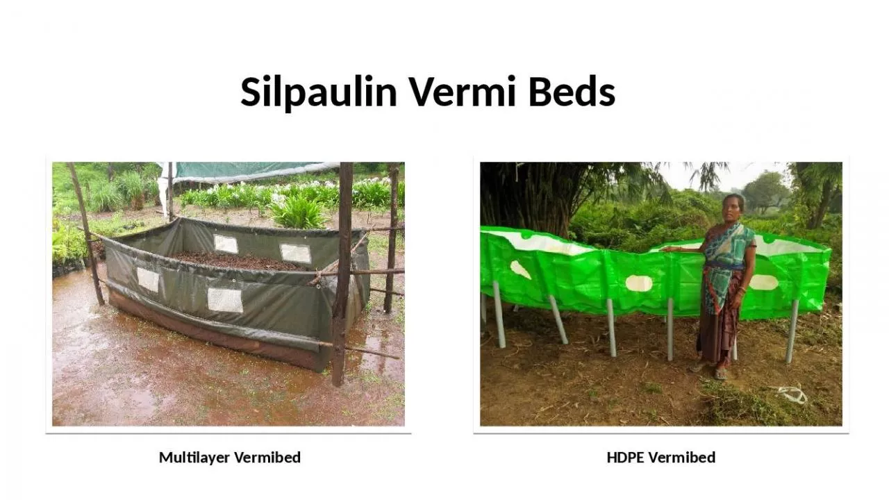 PPT-SILPAULIN VERMIBED