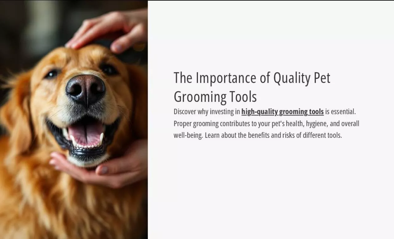 PDF-The importance of Pet Grooming tools