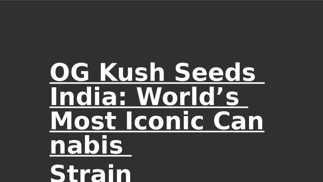 PPT-OG Kush Seeds India: World’s Most Iconic Cannabis Strain