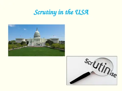 Scrutiny in the USA Government Scrutiny Like the