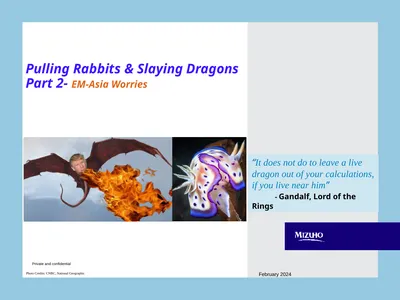 Pulling Rabbits & Slaying Dragons Part 2- EM-Asia