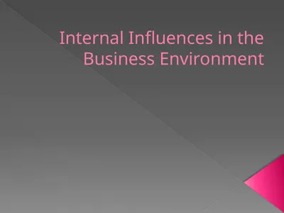 Internal Influences in the Business Environment