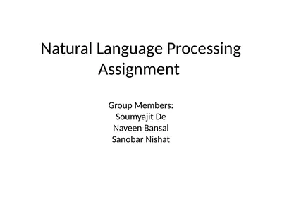 Natural Language Processing Assignment Group