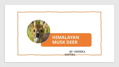 BY- OISHIKA SANTRA SCIENTIFIC NAME & COMMON NAME