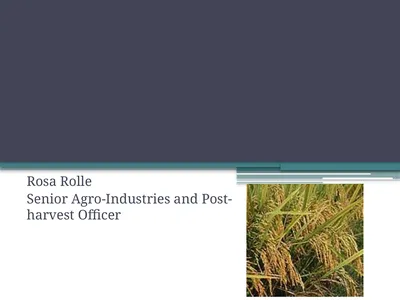 Post-harvest Losses, Technology, and Value