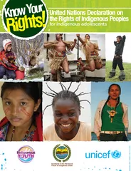 United Nations Declarationon the Rights of Indigenous Peoplesfor indig