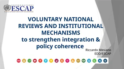 VOLUNTARY NATIONAL REVIEWS AND INSTITUTIONAL