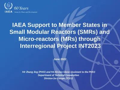 IAEA Support to Member States in Small Modular