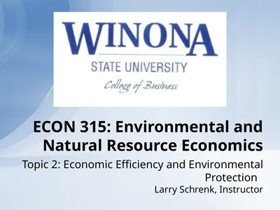Topic 2: Economic Efficiency and Environmental