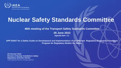 Nuclear Safety Standards Committee 46th meeting of