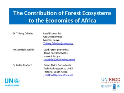 The Contribution of Forest Ecosystems to the