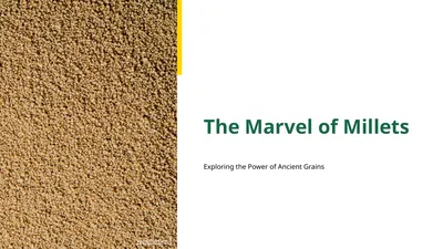 The Marvel of Millets Exploring the Power of