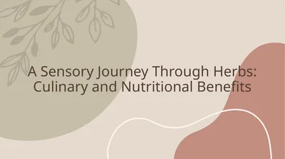 A Sensory Journey Through Herbs: Culinary and