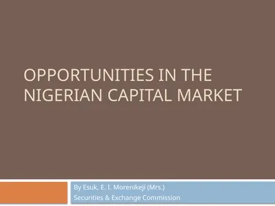 OPPORTUNITIES IN THE NIGERIAN CAPITAL MARKET By