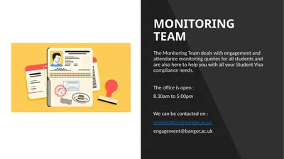 MONITORING TEAM The Monitoring Team deals with