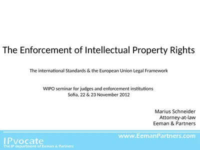 The Enforcement of Intellectual Property Rights