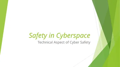 Safety in Cyberspace Technical Aspect of Cyber