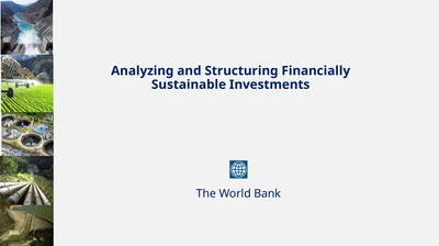 Analyzing and Structuring Financially Sustainable